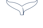 ORCA Medical Travel Insurance